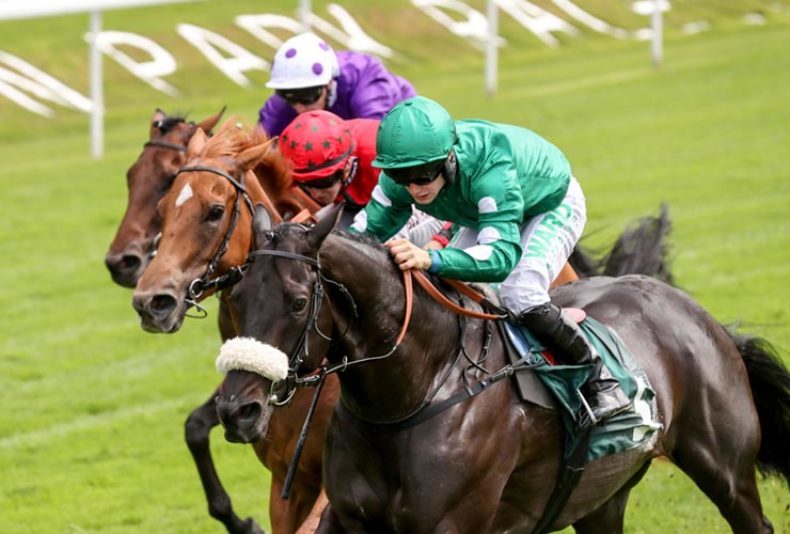 photo: Audi on Demand Racenight