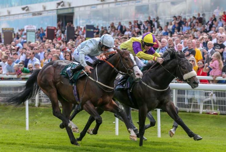 photo: Heineken UK Glasgow Stakes Racenight ft Tribute to Prince
