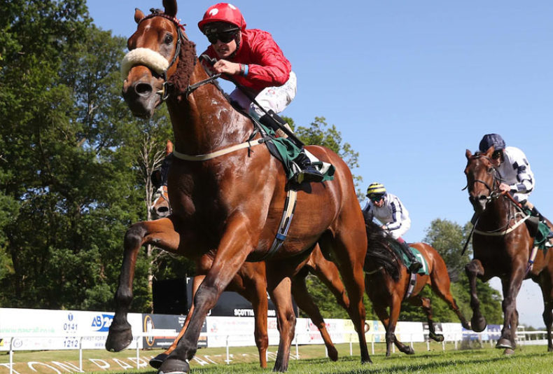 photo: Wednesday Raceday
