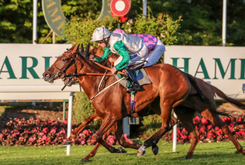 photo: MacRoberts Solicitors LLP Raceday