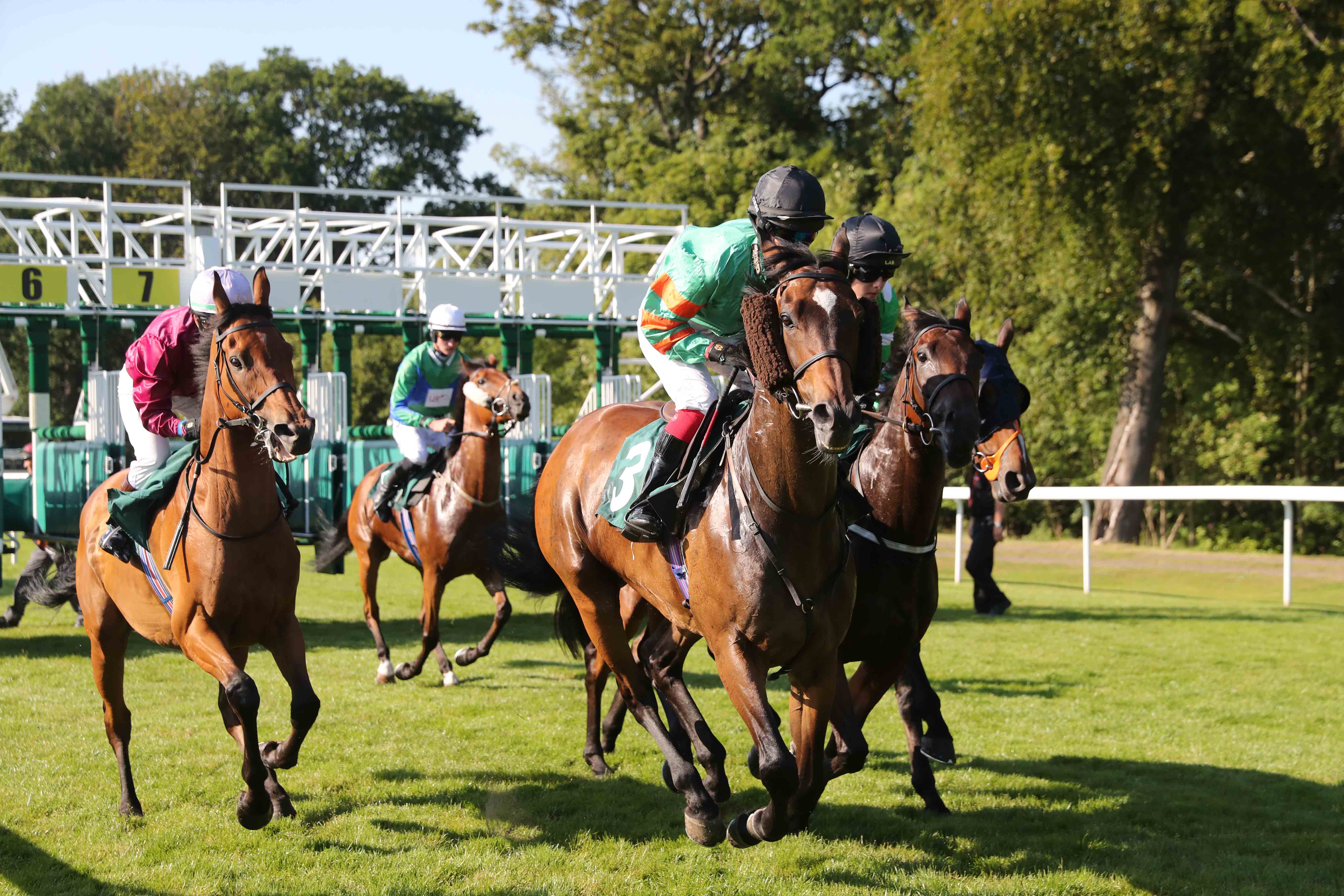 An Amazing Day of Horse Racing at Hamilton Park Racecourse