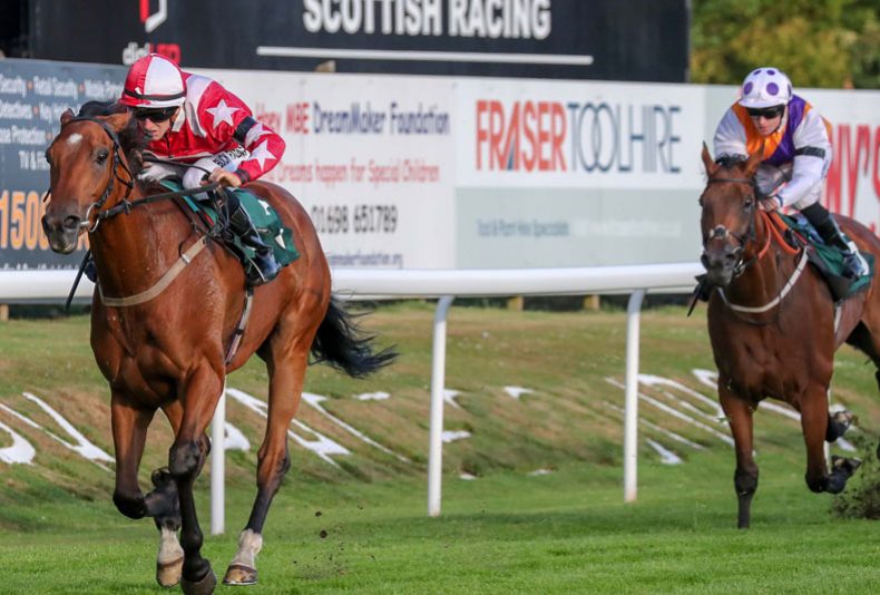 photo: Palmaris Services Racenight