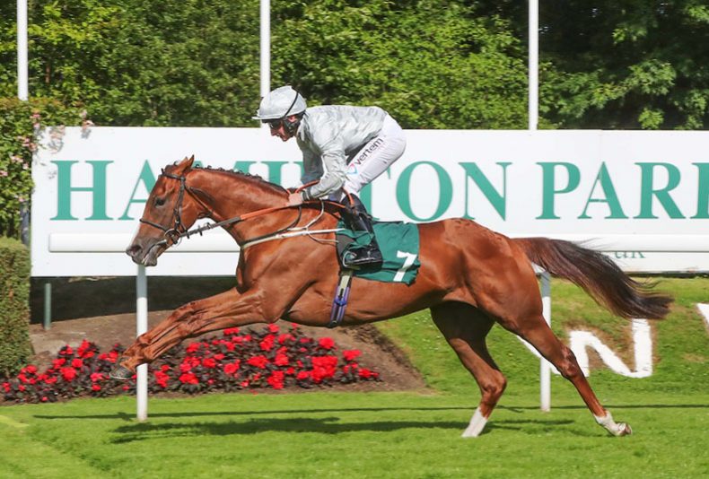 photo: Almada Raceday