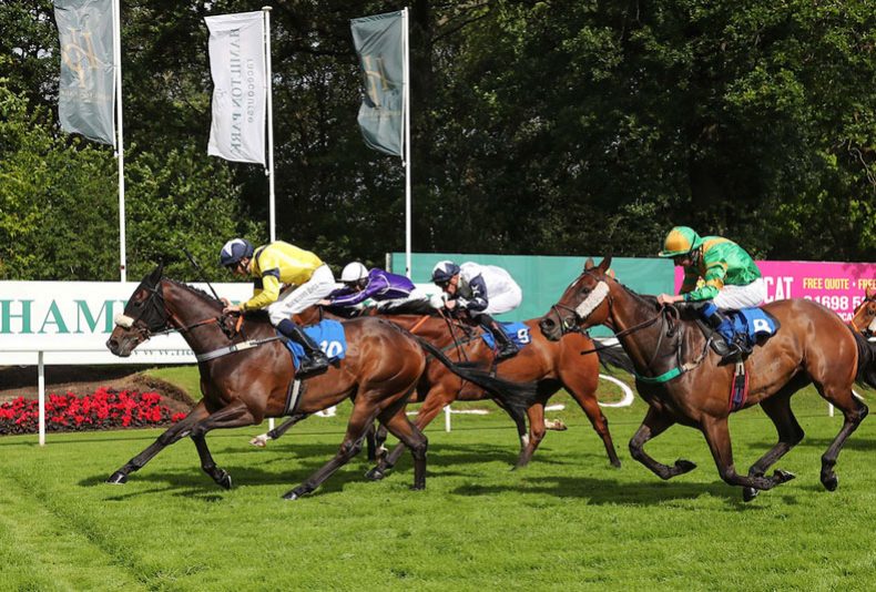 photo: Scottish Trophy Raceday