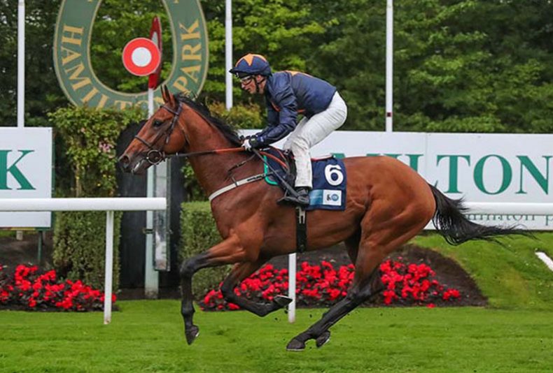 photo: Heineken UK Glasgow Stakes Racenight