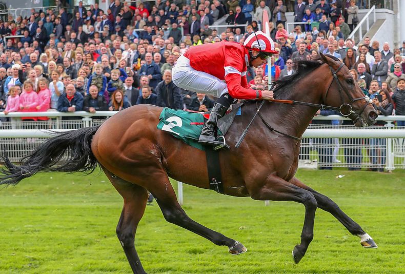 photo: Sodexo Raceday