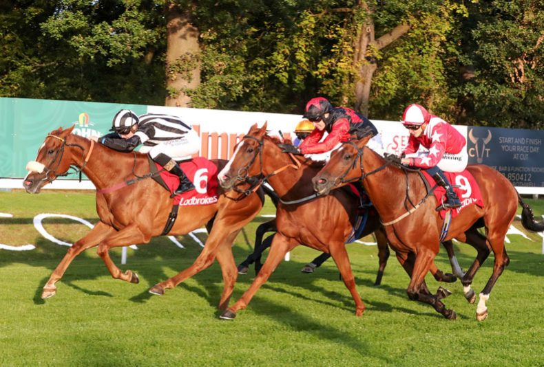 photo: Ladbrokes Lanark Silver Bell Racenight ft GBX Anthems
