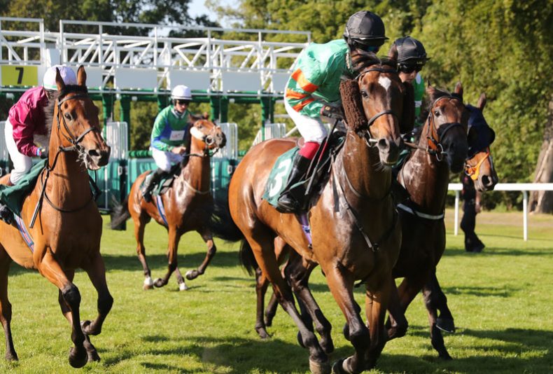photo: Bothwell Castle Raceday
