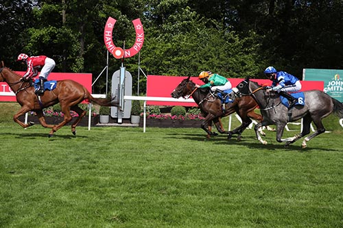 Palmaris Services Racenight