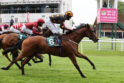 Cadzow Castle Raceday