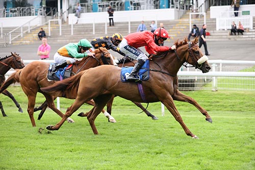 Sodexo Raceday