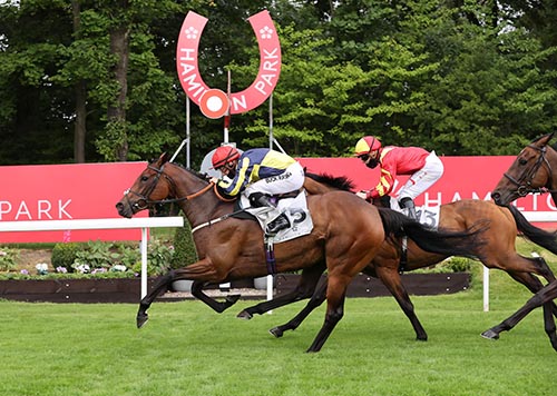 Almada Raceday