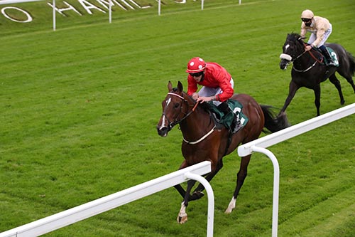September Weekend Raceday