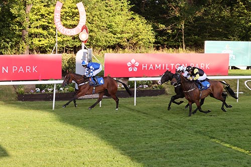 Racing TV Club Raceday