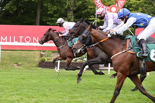 Lanark Silver Bell Racenight