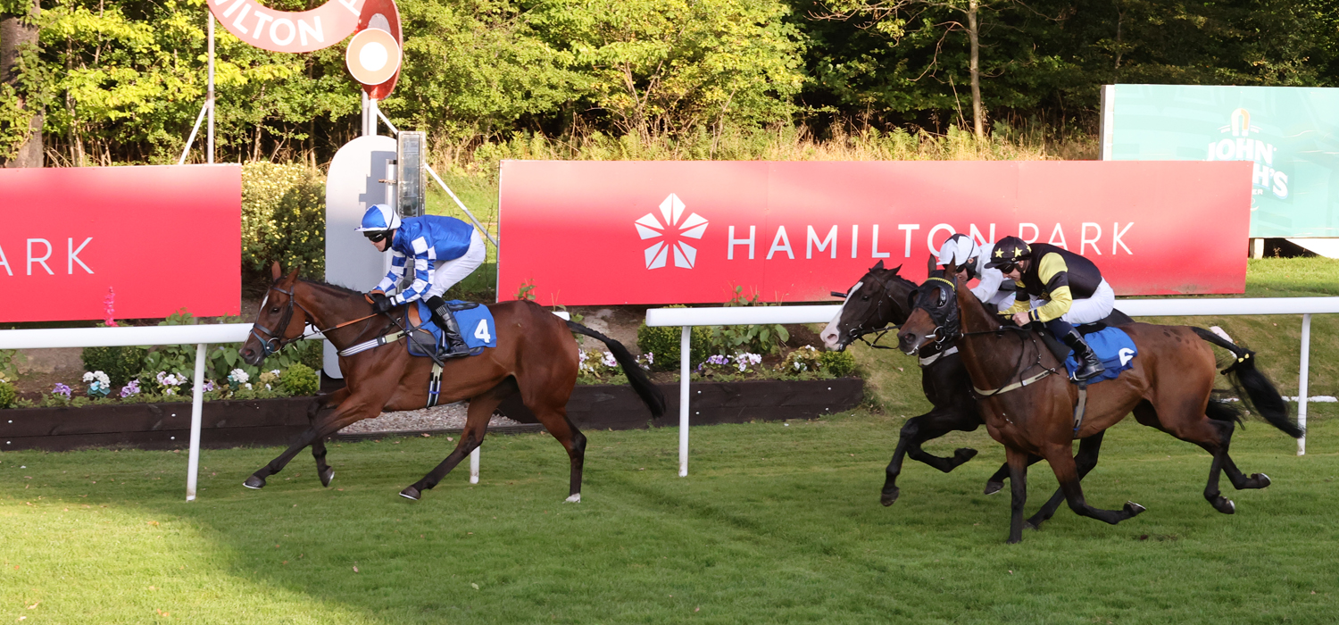 Racing Reports Hamilton Park