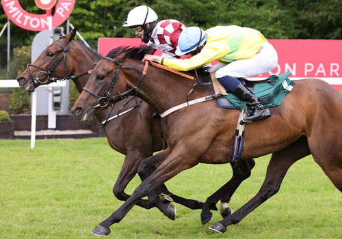 Family Racenight, Saturday 9 July