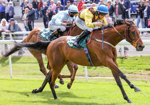 Saints & Sinners Racenight, Thursday 23 June