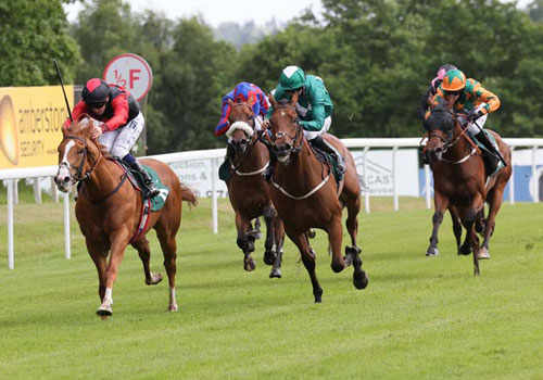 Afternoon Raceday, Tuesday 28 June