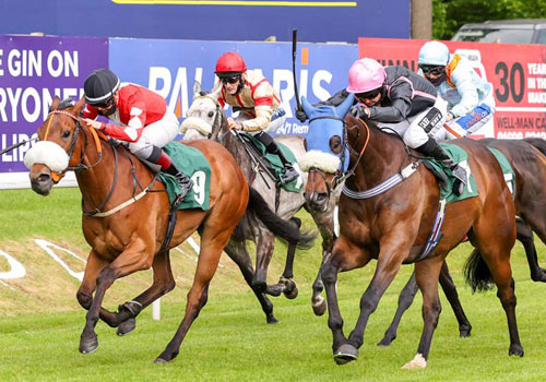 Afternoon Raceday, Wednesday 15 June