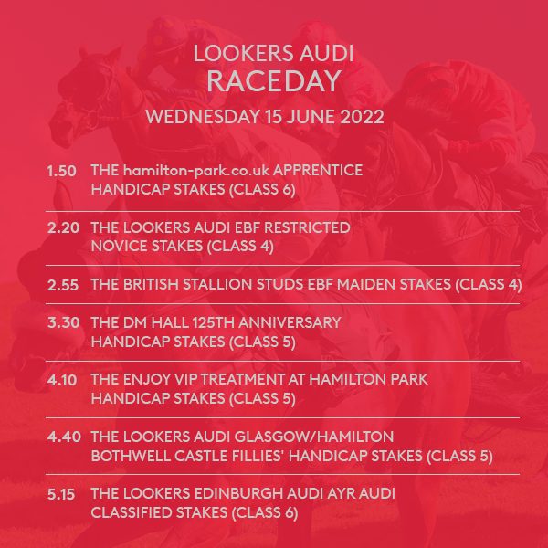 Lookers Audi Raceday racenames and racetimes