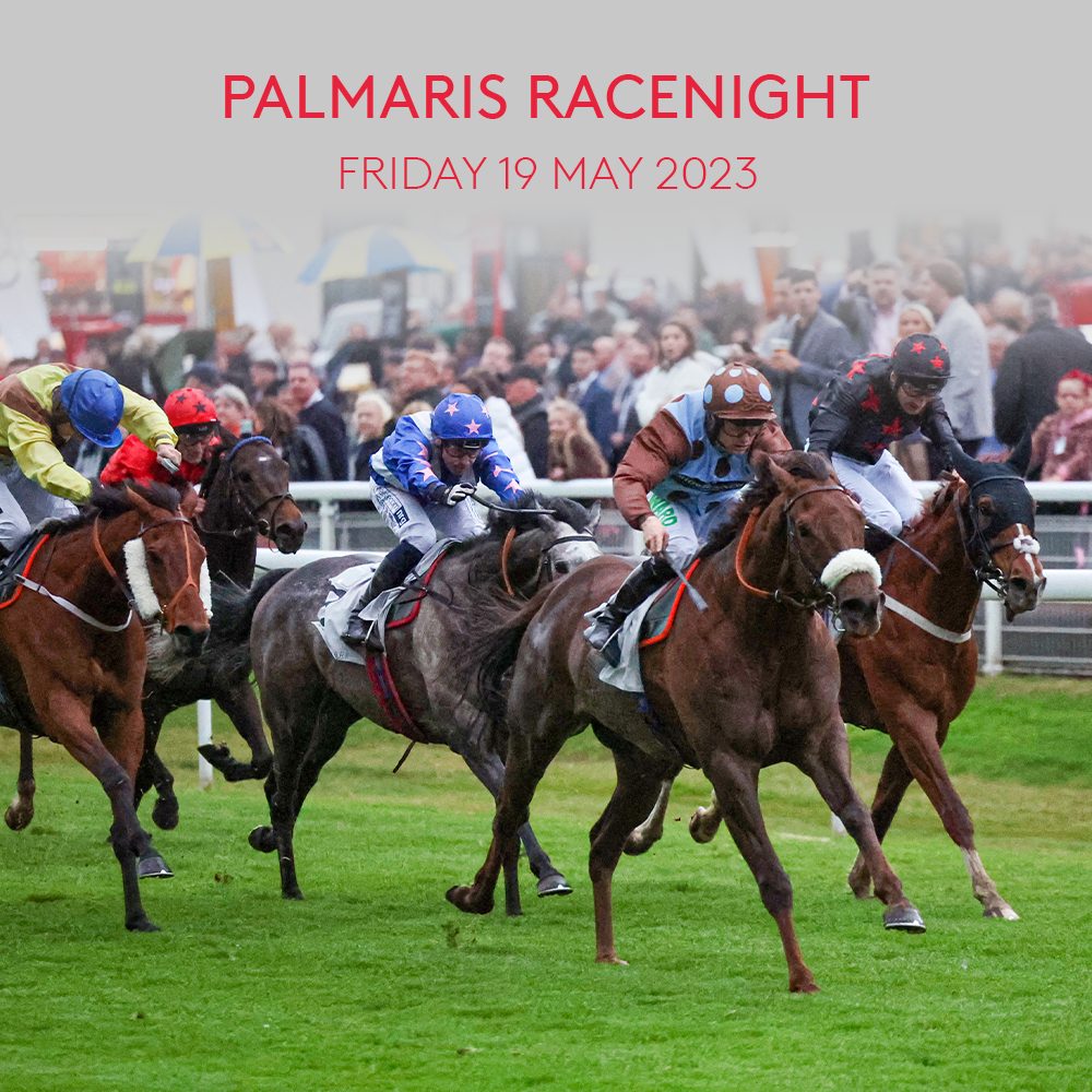 Palmaris Racenight 2023 upcoming fixture