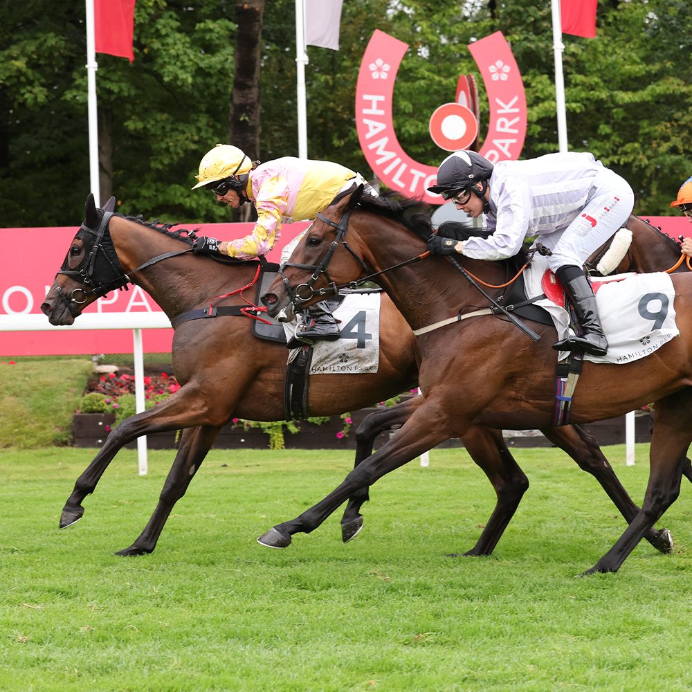 Kinrara Gin Scottish Trophy Racenight 2026 | Hamilton Park