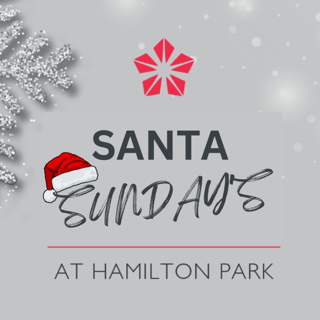 The Perfect Christmas Party Venue | Hamilton Park