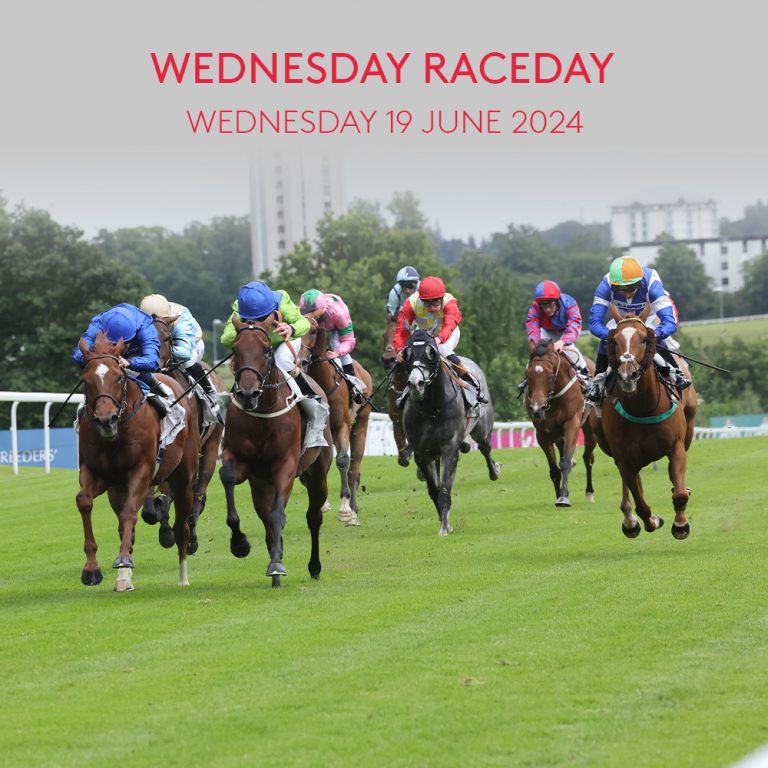 Sodexo Live! Raceday 2024 Hamilton Park