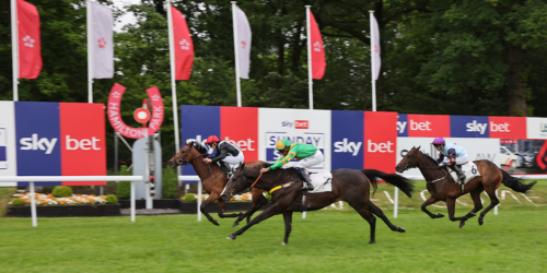 Event Sponsorship at Hamilton Park